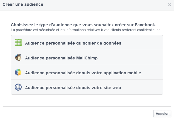 audience personnalisée custom audience facebook