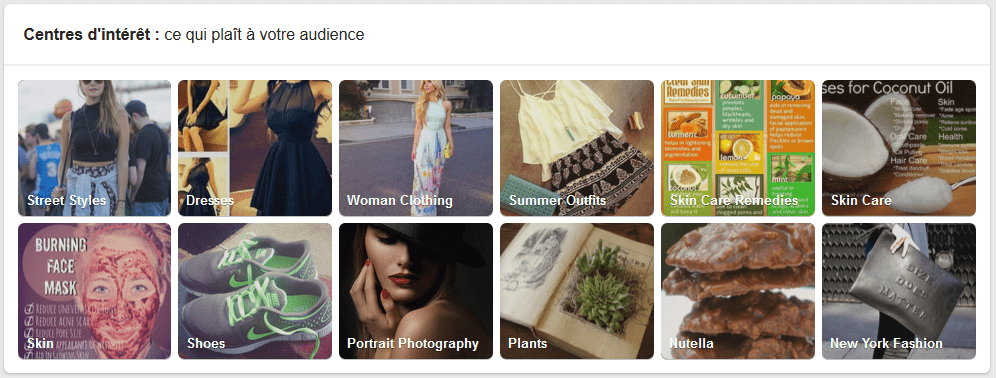 centre d'interêt de votre audience sur pinterest