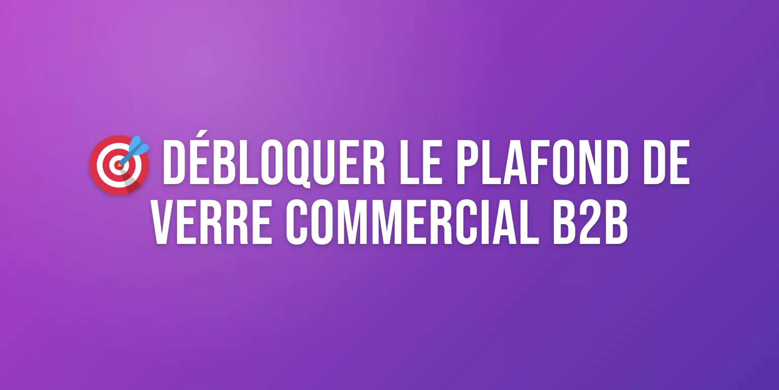 Programme d'Accompagnement en Stratégie Commerciale B2B : Guide et Méthode